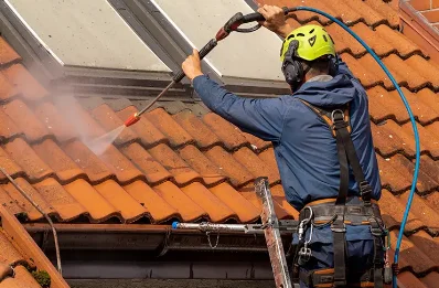 Démoussage et hydrofuge de toiture à Orcival